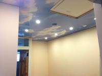 Decor Ceilings Ltd  image 4