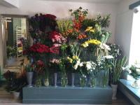 Wild at Heart at Village Flowers, Dungarvan image 2