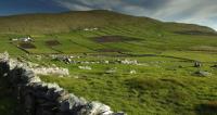 Damien Coyne Agri image 1