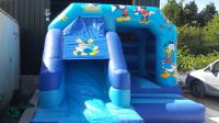 North Cork Bouncy castle image 14