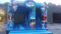 North Cork Bouncy castle image 8