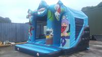 West Cork Bouncy Castle image 9