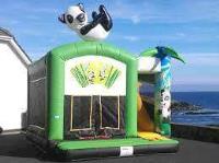 West Cork Bouncy Castle image 13