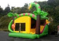 North Cork Bouncy castle image 11