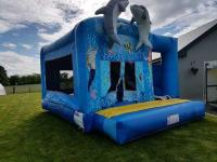 North Cork Bouncy castle image 12