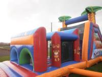 Bouncy Castle East Cork image 14