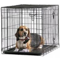 Pet Shop Online image 1