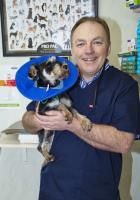 All Care Veterinary Centre image 6