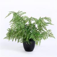 Sharetrade Artificial Plant Supplier  image 1