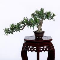 Sharetrade Artificial Plant Supplier  image 5