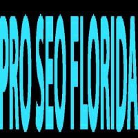 PRO SEO Florida image 1