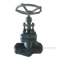 STV Valve Technology Group Co.,Ltd image 58