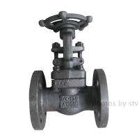 STV Valve Technology Group Co.,Ltd image 31