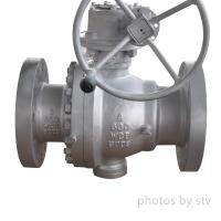 STV Valve Technology Group Co.,Ltd image 5