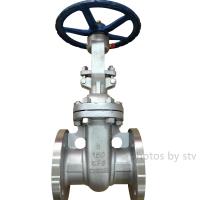 STV Valve Technology Group Co.,Ltd image 33