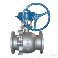 STV Valve Technology Group Co.,Ltd image 23