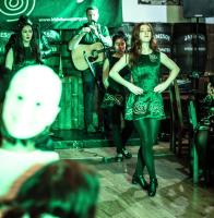 THE IRISH DANCE PARTY image 5