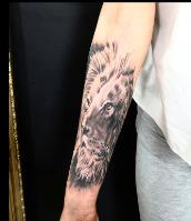 Sphynx Tattoo Dublin image 1