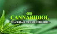 Medical CBD Oil image 2