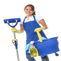 Bogdan Cleaning LTD image 2