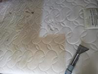 Dublin Carpet Cleaning  image 1