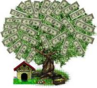 100% GUARANTEED LOAN, BUSINESS LOAN image 2