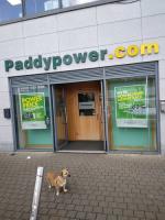 Paddy Power image 2