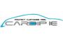 Car Dip Ireland logo