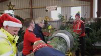 Caulstown Christmas Tree Farm image 11