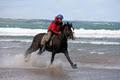 Donegal Equestrian Centre image 2