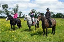 collistown riding school image 1