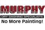 Murphy Dry Dashing Specialists logo