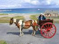 Aran Islands Information image 3