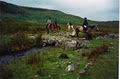 Ashford Equestrian Centre image 2