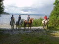 Ashford Equestrian Centre image 3