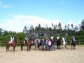 Bachelors Lodge Equestrian Centre image 2