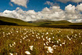 Ballycroy National Park image 1