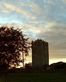 Ballyhannon Castle logo