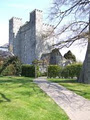 Barberstown Castle image 2