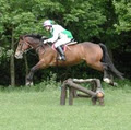 Bel-Air Equestrian Centre logo