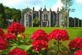 Belleek Castle logo