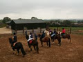 Belmount Equestrian Centre image 4