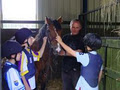 Belmount Equestrian Centre image 5