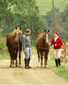 Belmount Equestrian Centre logo