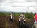 Birr Equestrian Centre image 3