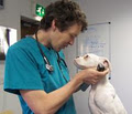 Blanchardstown Veterinary Hospital image 1