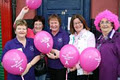 Bray Cancer Support Centre logo