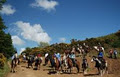 Bunnageddy Equestrian Centre image 3