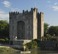 Bunratty Castle & Folk Park image 2