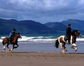 Burke's Beach Riding image 1